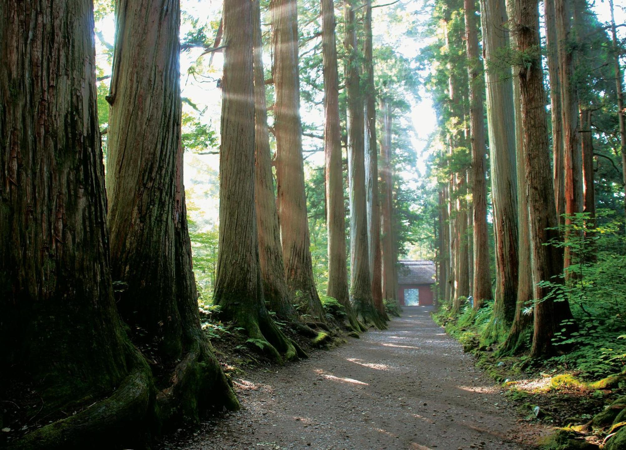 Fukeikan 風景館 Takayama (Nagano) Exterior foto